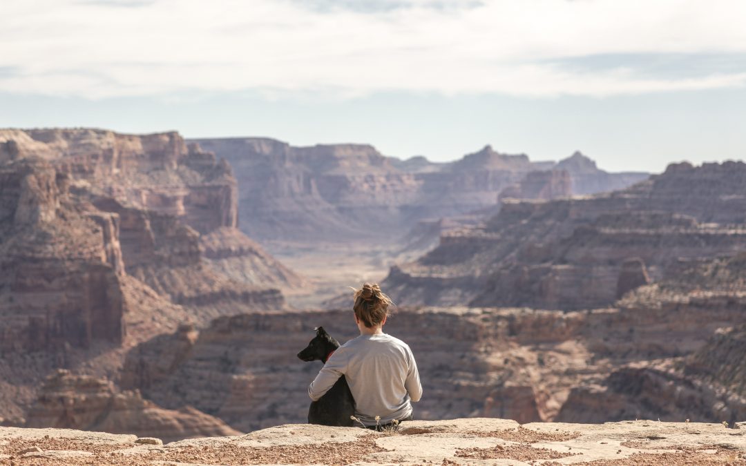 Vacaciones con perro: alternativas para poder disfrutarlas